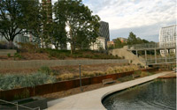 Myriad gardens Pano 1
