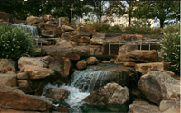 Myriad gardens Pano 1