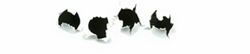 bullet holes break